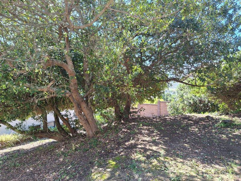 0 Bedroom Property for Sale in Bergsig Western Cape